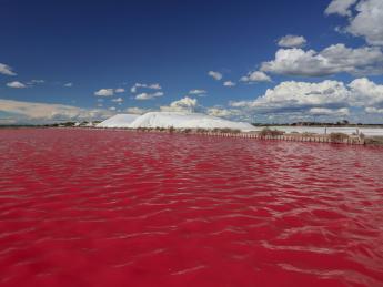 salins-aigues-mortes-tourisme salins-aigues-mortes-tourisme