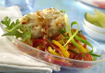 Medaillons of Burbot on a pepper and tomato bed