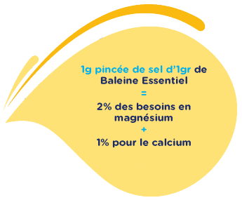 apport baleine essentiel apport baleine essentiel