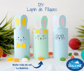 lapins