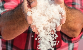 fleur de sel saunier de camargue