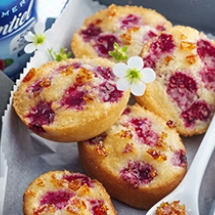 financier framboises 