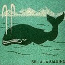 logo-baleine-1934 logo-baleine-1934