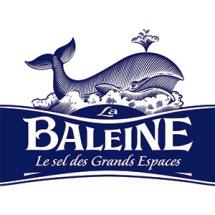 logo-baleine-2006 logo-baleine-2006