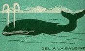 saga-la-baleine-cta