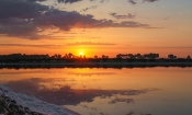 vignette-camargue